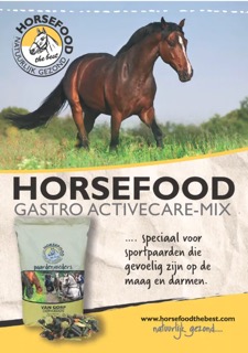 GastroActive Mix, 20 kg.